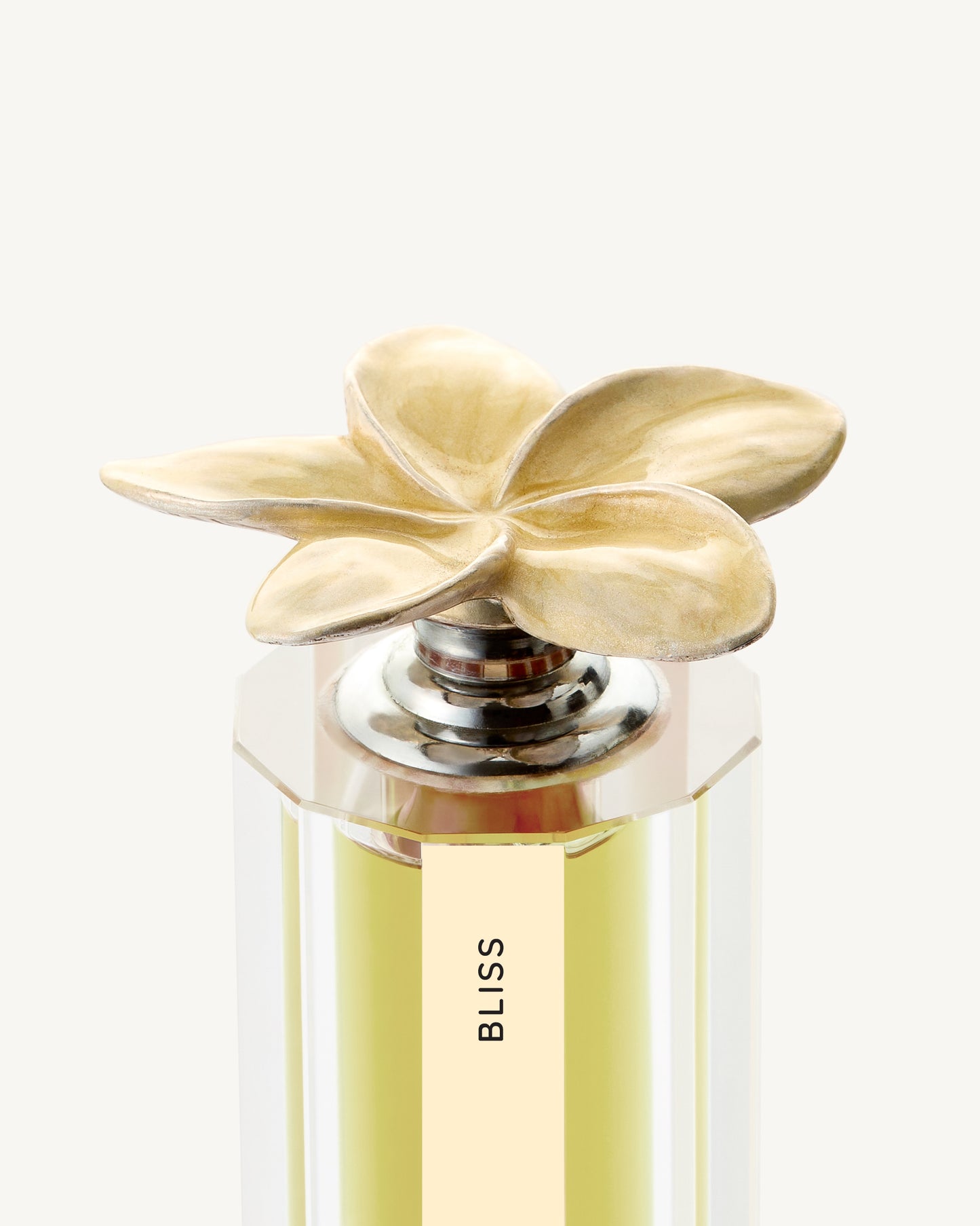 BLISS - Absorbing Radiance - Premium