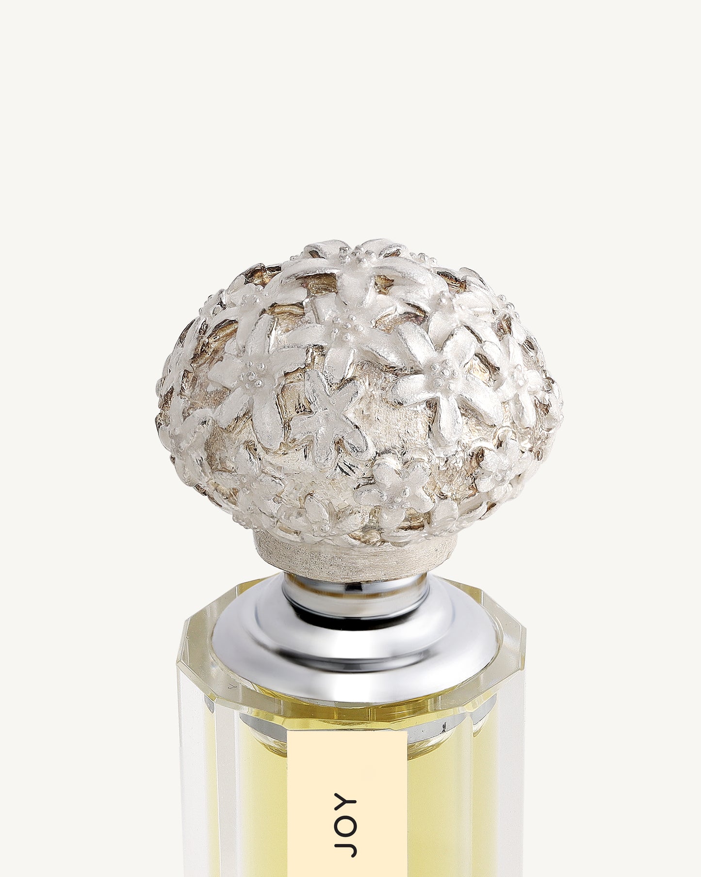 JOY - Dancing in Alignment - Petite