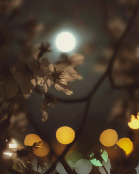 MOONLIGHT